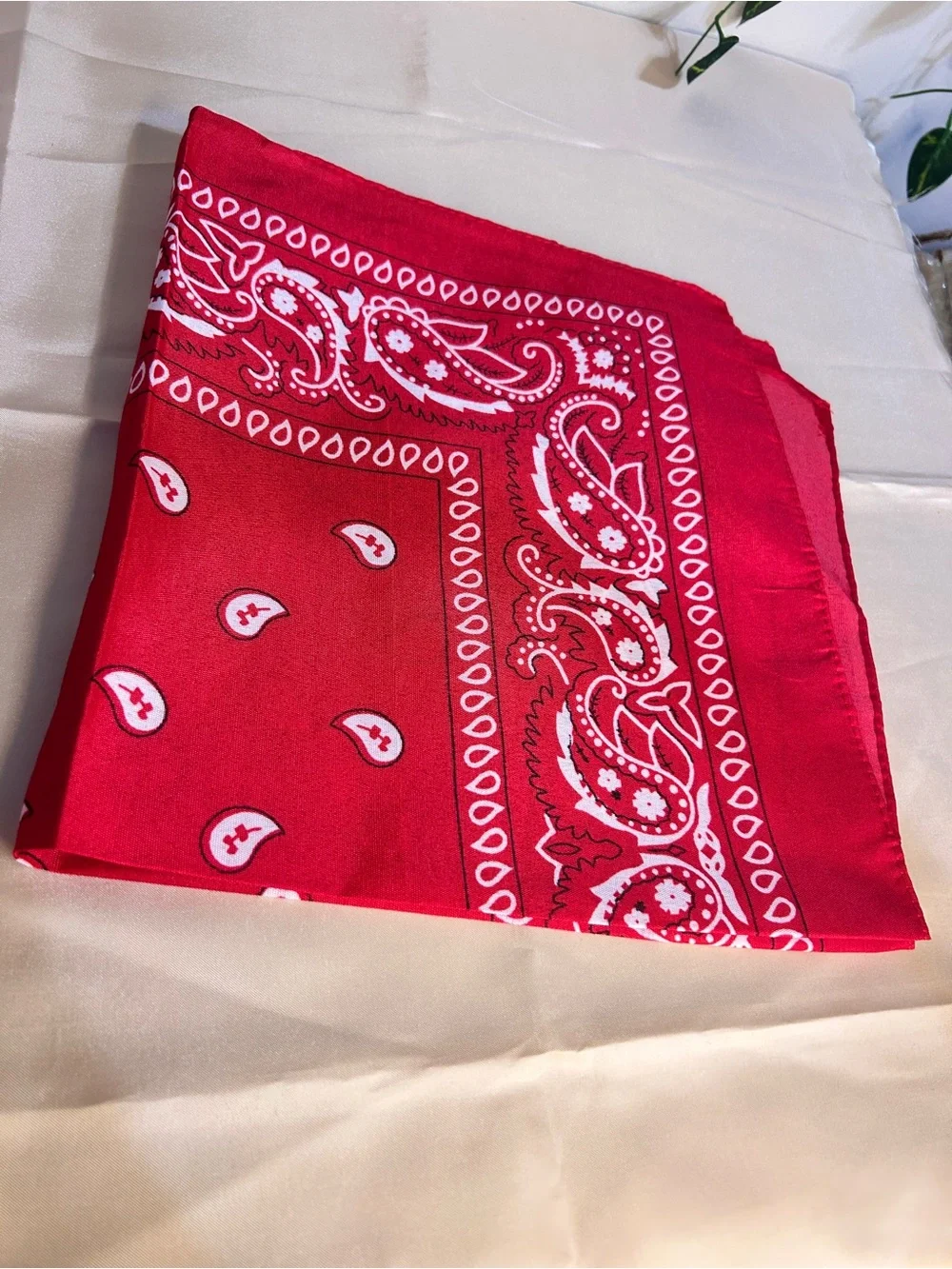 Red Paisley Bandana Scarf